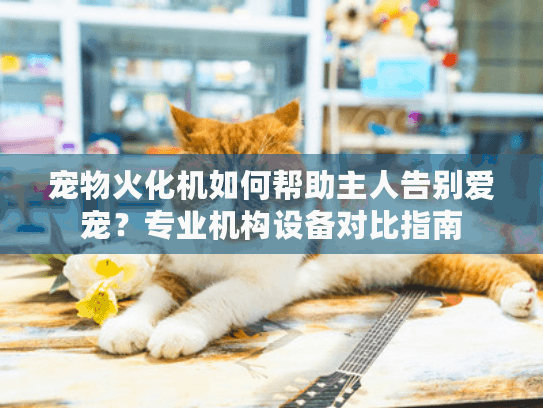 宠物火化机如何帮助主人告别爱宠?专业机构设备对比指南 宠物火化机如何帮助主人告别爱宠?专业机构设备对比指南