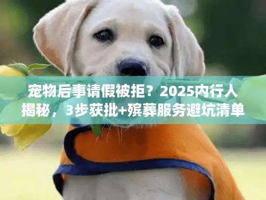 宠物后事请假被拒？2025内行人揭秘，3步获批+殡葬服务避坑清单