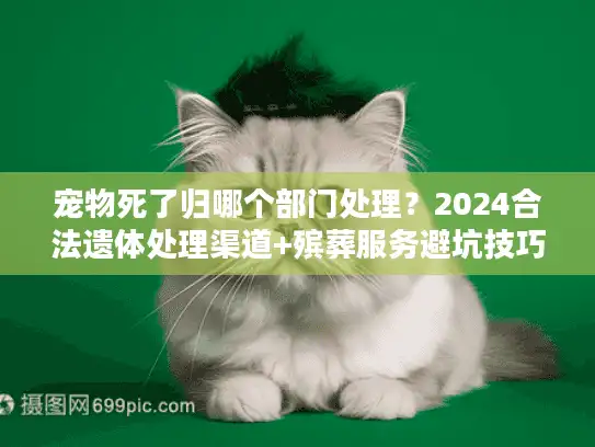 宠物死了归哪个部门处理?2024合法遗体处理渠道+殡葬服务避坑技巧 宠物死了归哪个部门处理?2024合法遗体处理渠道+殡葬服务避坑技巧