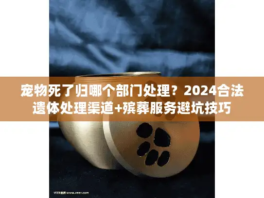 宠物死了归哪个部门处理?2024合法遗体处理渠道+殡葬服务避坑技巧 宠物死了归哪个部门处理?2024合法遗体处理渠道+殡葬服务避坑技巧