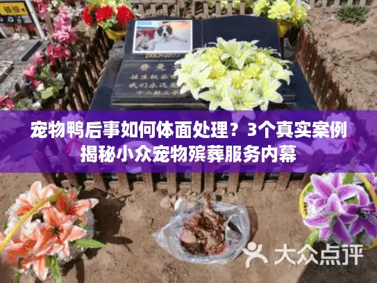 宠物鸭后事如何体面处理？3个真实案例揭秘小众宠物殡葬服务内幕
