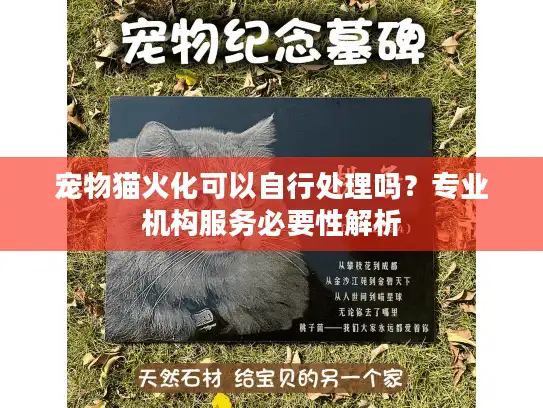 宠物猫火化可以自行处理吗？专业机构服务必要性解析