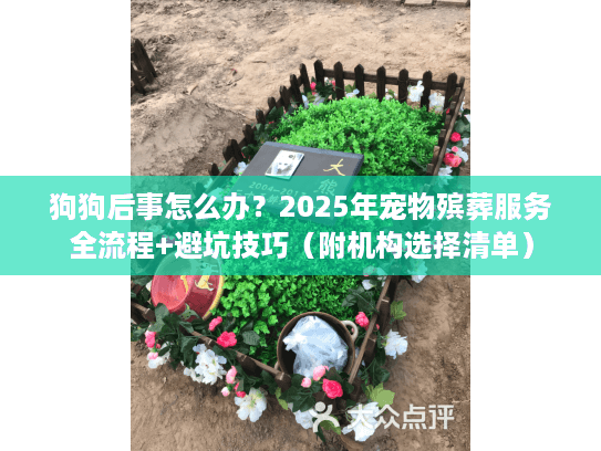 狗狗后事怎么办？2025年宠物殡葬服务全流程+避坑技巧（附机构选择清单）