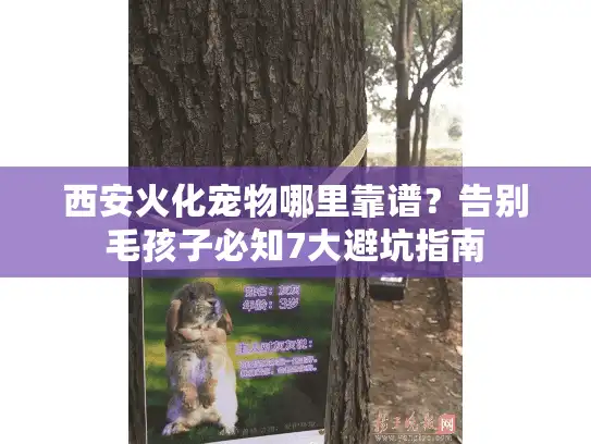 西安火化宠物哪里靠谱？告别毛孩子必知7大避坑指南