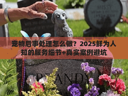 宠物后事处理怎么做？2025鲜为人知的服务细节+真实案例避坑