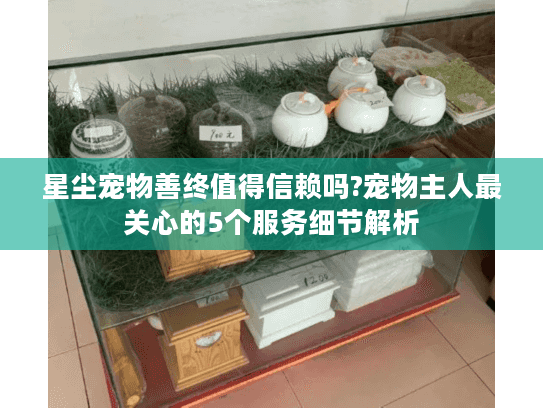 星尘宠物善终值得信赖吗?宠物主人最关心的5个服务细节解析