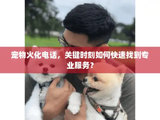 宠物火化电话,关键时刻如何快速找到专业服务? 宠物火化电话,关键时刻如何快速找到专业服务?