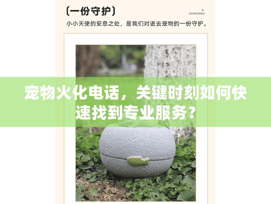 宠物火化电话,关键时刻如何快速找到专业服务? 宠物火化电话,关键时刻如何快速找到专业服务?