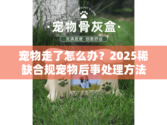 宠物走了怎么办?2025稀缺合规宠物后事处理方法+殡葬服务避坑 宠物走了怎么办?2025稀缺合规宠物后事处理方法+殡葬服务避坑