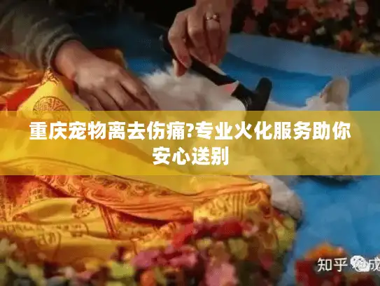 重庆宠物离去伤痛?专业火化服务助你安心送别 重庆宠物离去伤痛?专业火化服务助你安心送别