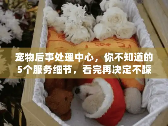 宠物后事处理中心,你不知道的5个服务细节,看完再决定不踩雷 宠物后事处理中心,你不知道的5个服务细节,看完再决定不踩雷