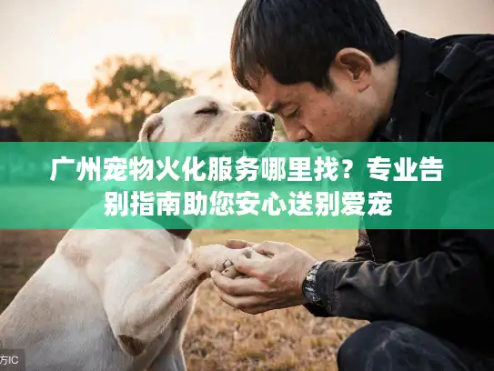 广州宠物火化服务哪里找？专业告别指南助您安心送别爱宠