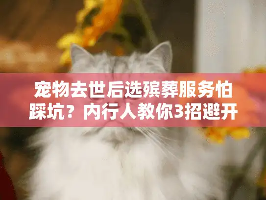 宠物去世后选殡葬服务怕踩坑？内行人教你3招避开90%的套路