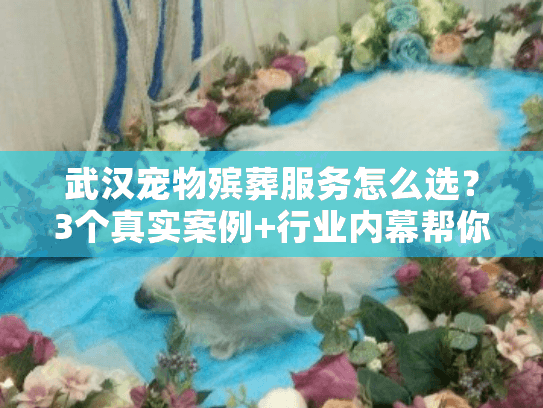 武汉宠物殡葬服务怎么选？3个真实案例+行业内幕帮你避坑