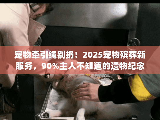宠物牵引绳别扔！2025宠物殡葬新服务，90%主人不知道的遗物纪念法