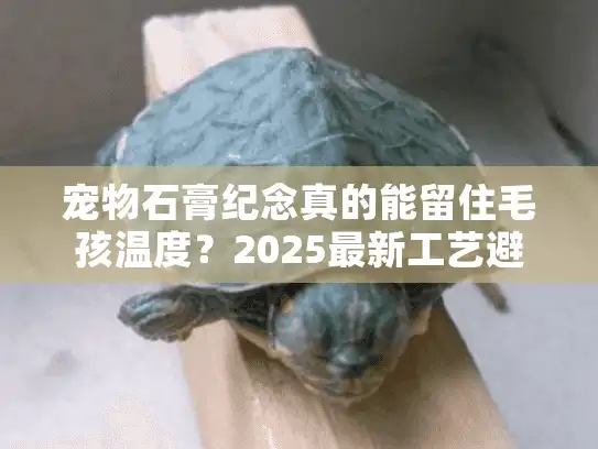 宠物石膏纪念真的能留住毛孩温度？2025最新工艺避坑全攻略