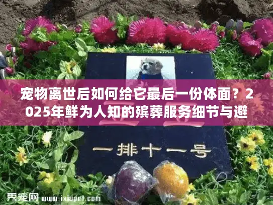 宠物离世后如何给它最后一份体面?2025年鲜为人知的殡葬服务细节与避坑技巧 宠物离世后如何给它最后一份体面?2025年鲜为人知的殡葬服务细节与避坑技巧