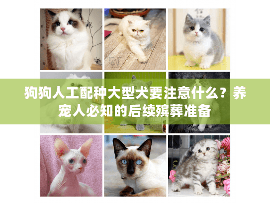 狗狗人工配种大型犬要注意什么？养宠人必知的后续殡葬准备