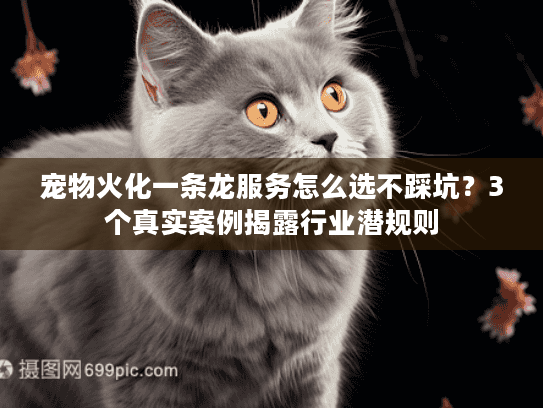 宠物火化一条龙服务怎么选不踩坑？3个真实案例揭露行业潜规则