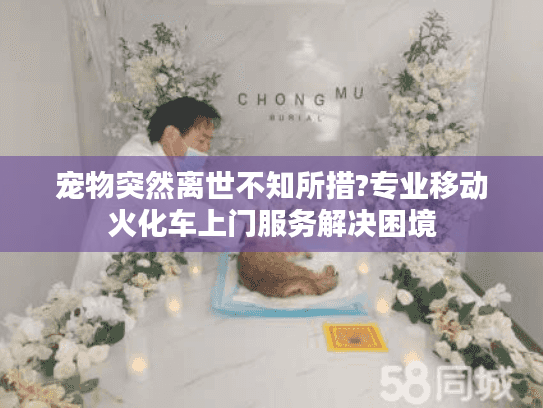 宠物突然离世不知所措?专业移动火化车上门服务解决困境