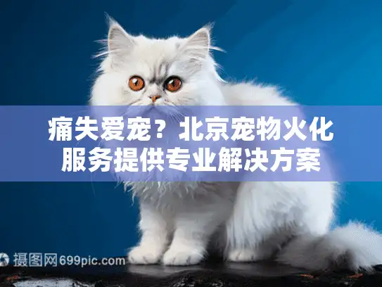痛失爱宠？北京宠物火化服务提供专业解决方案
