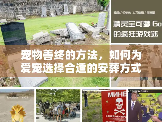 宠物善终的方法，如何为爱宠选择合适的安葬方式？