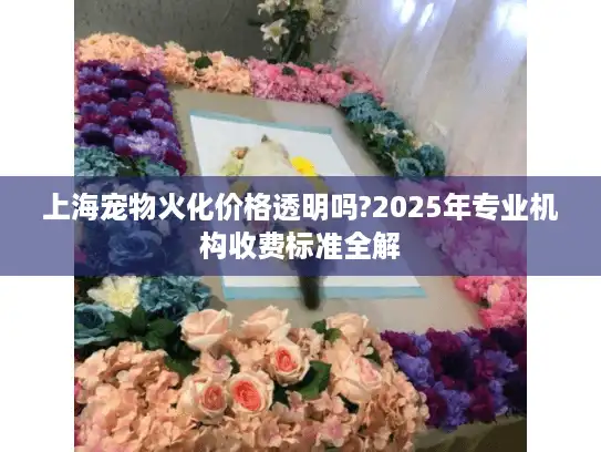 上海宠物火化价格透明吗?2025年专业机构收费标准全解