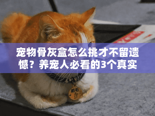 宠物骨灰盒怎么挑才不留遗憾？养宠人必看的3个真实案例解析