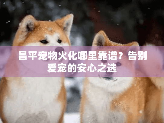 昌平宠物火化哪里靠谱？告别爱宠的安心之选