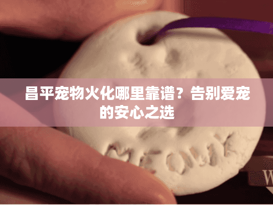 昌平宠物火化哪里靠谱？告别爱宠的安心之选