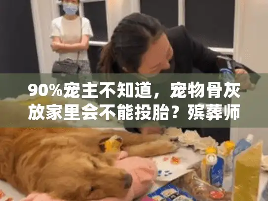 90%宠主不知道,宠物骨灰放家里会不能投胎?殡葬师教你正确处理方式 90%宠主不知道,宠物骨灰放家里会不能投胎?殡葬师教你正确处理方式