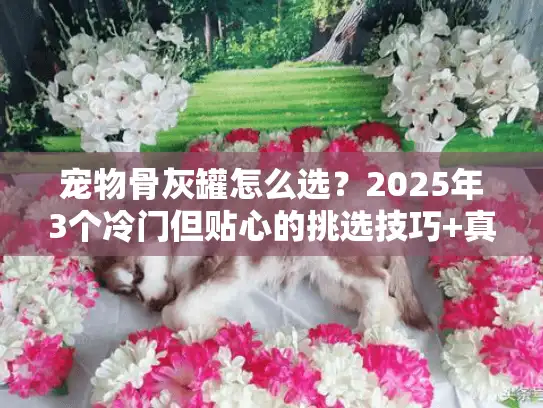 宠物骨灰罐怎么选？2025年3个冷门但贴心的挑选技巧+真实案例分享