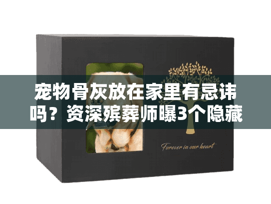 宠物骨灰放在家里有忌讳吗？资深殡葬师曝3个隐藏禁忌+选服务关键技巧