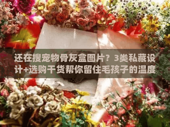 还在搜宠物骨灰盒图片？3类私藏设计+选购干货帮你留住毛孩子的温度