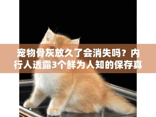 宠物骨灰放久了会消失吗？内行人透露3个鲜为人知的保存真相与服务避坑法