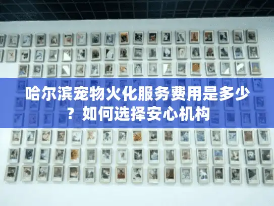 哈尔滨宠物火化服务费用是多少？如何选择安心机构