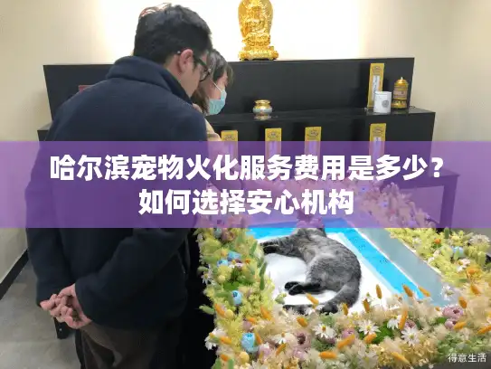 哈尔滨宠物火化服务费用是多少？如何选择安心机构