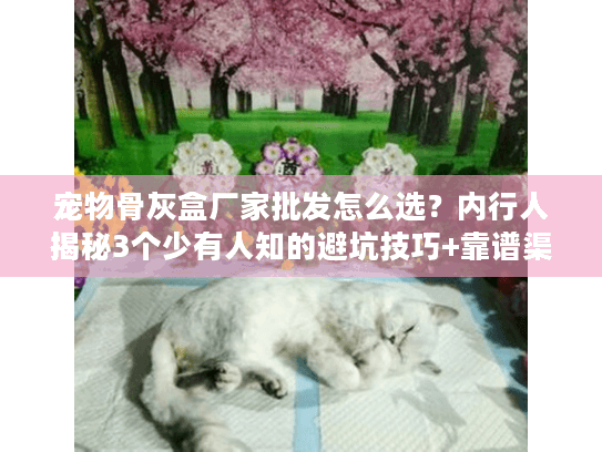 宠物骨灰盒厂家批发怎么选？内行人揭秘3个少有人知的避坑技巧+靠谱渠道