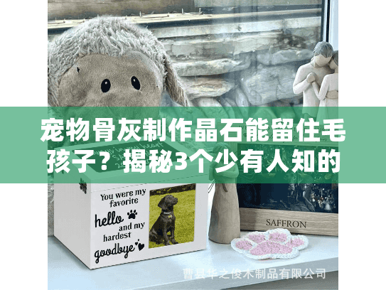 宠物骨灰制作晶石能留住毛孩子？揭秘3个少有人知的制作细节！