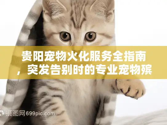 贵阳宠物火化服务全指南，突发告别时的专业宠物殡葬解决方案