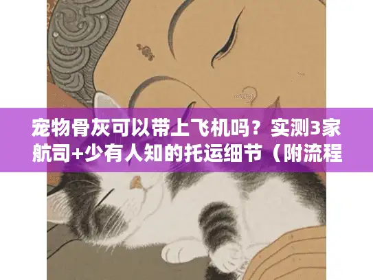 宠物骨灰可以带上飞机吗？实测3家航司+少有人知的托运细节（附流程）