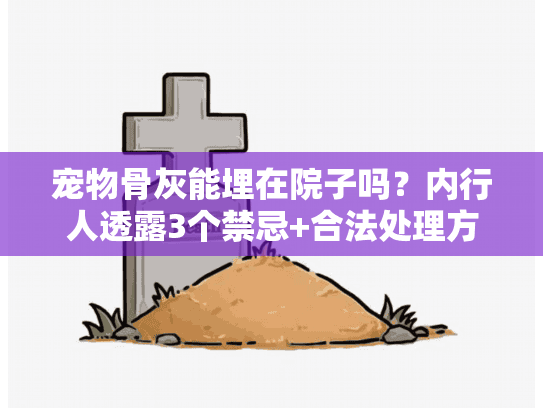 宠物骨灰能埋在院子吗？内行人透露3个禁忌+合法处理方案（2024实测）