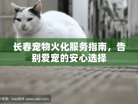 长春宠物火化服务指南,告别爱宠的安心选择 长春宠物火化服务指南,告别爱宠的安心选择