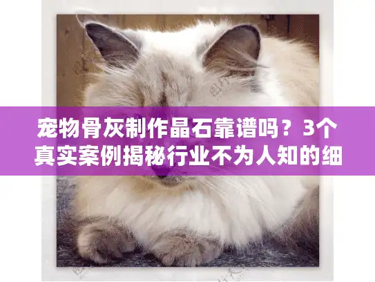 宠物骨灰制作晶石靠谱吗?3个真实案例揭秘行业不为人知的细节 宠物骨灰制作晶石靠谱吗?3个真实案例揭秘行业不为人知的细节