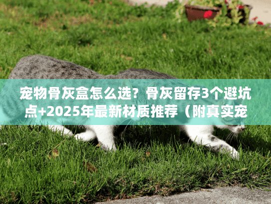 宠物骨灰盒怎么选?骨灰留存3个避坑点+2025年最新材质推荐(附真实宠主案例) 宠物骨灰盒怎么选?骨灰留存3个避坑点+2025年最新材质推荐(附真实宠主案例)