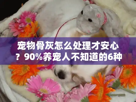 宠物骨灰怎么处理才安心？90%养宠人不知道的6种正确安置方法