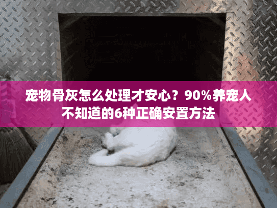 宠物骨灰怎么处理才安心？90%养宠人不知道的6种正确安置方法