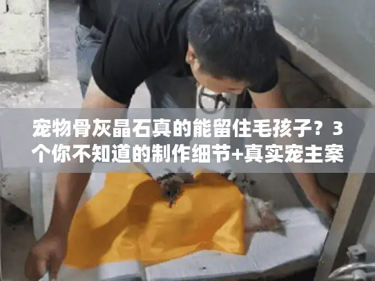 宠物骨灰晶石真的能留住毛孩子？3个你不知道的制作细节+真实宠主案例