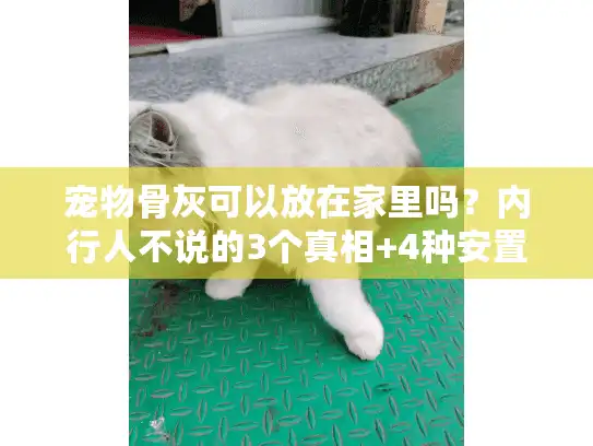 宠物骨灰可以放在家里吗?内行人不说的3个真相+4种安置方案(90%宠主不知道) 宠物骨灰可以放在家里吗?内行人不说的3个真相+4种安置方案(90%宠主不知道)