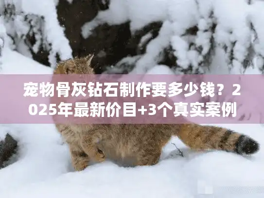宠物骨灰钻石制作要多少钱？2025年最新价目+3个真实案例揭秘行业内幕